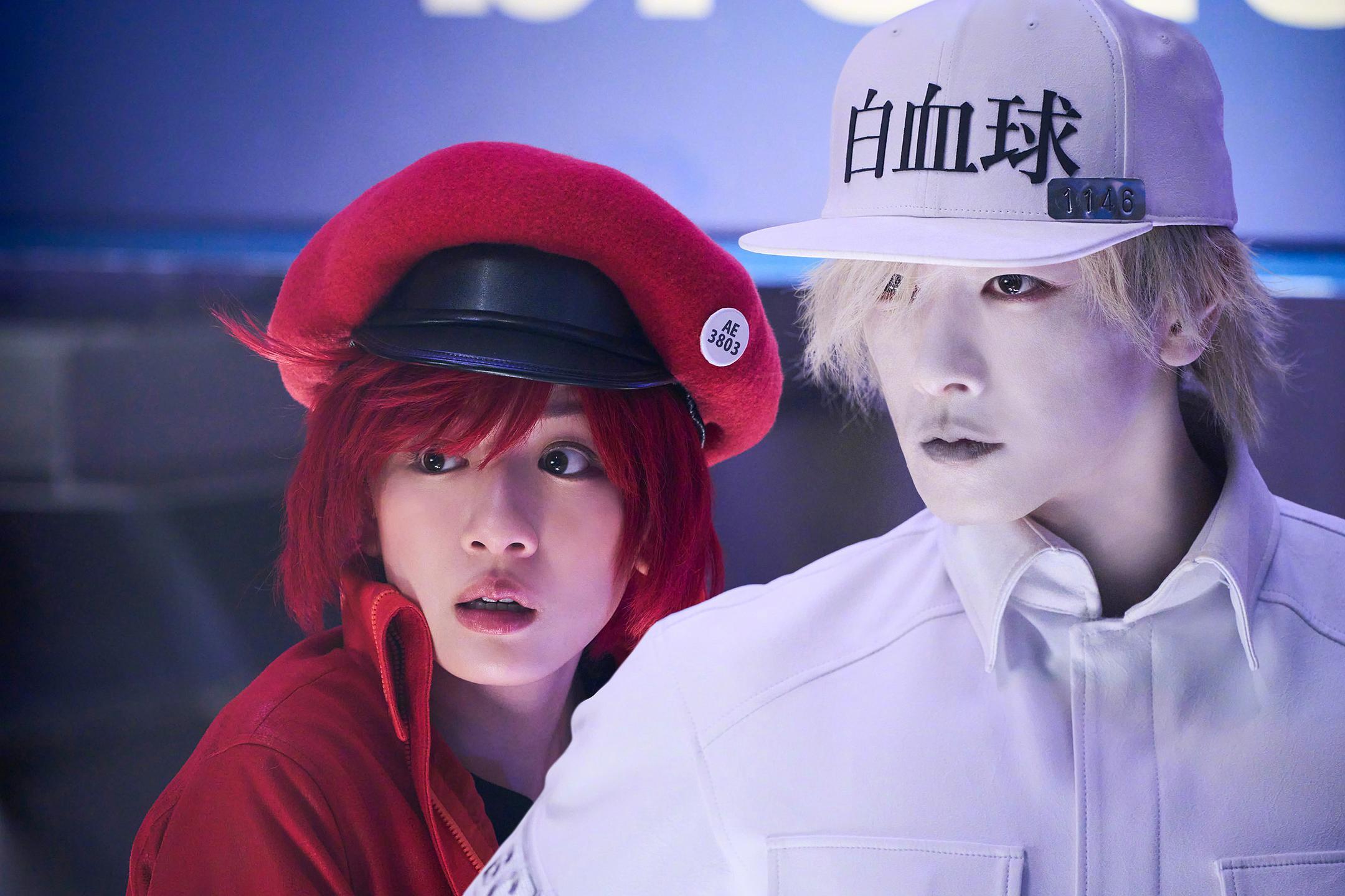 工作细胞真人版电影+电视剧完整版免费观看第二季，附动画版合集