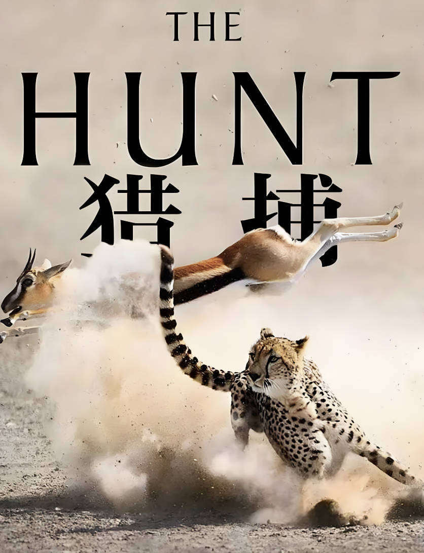 BBC《猎捕》纪录片豆瓣高分9.6，全7集完整版高清1080P+HD资源夸克百度云网盘