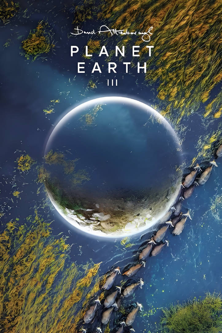 《地球脉动》纪录片第1-3季中文普通话版免费观看，全集完整版国语高清1080P 60帧 HDR 百度云夸克网盘