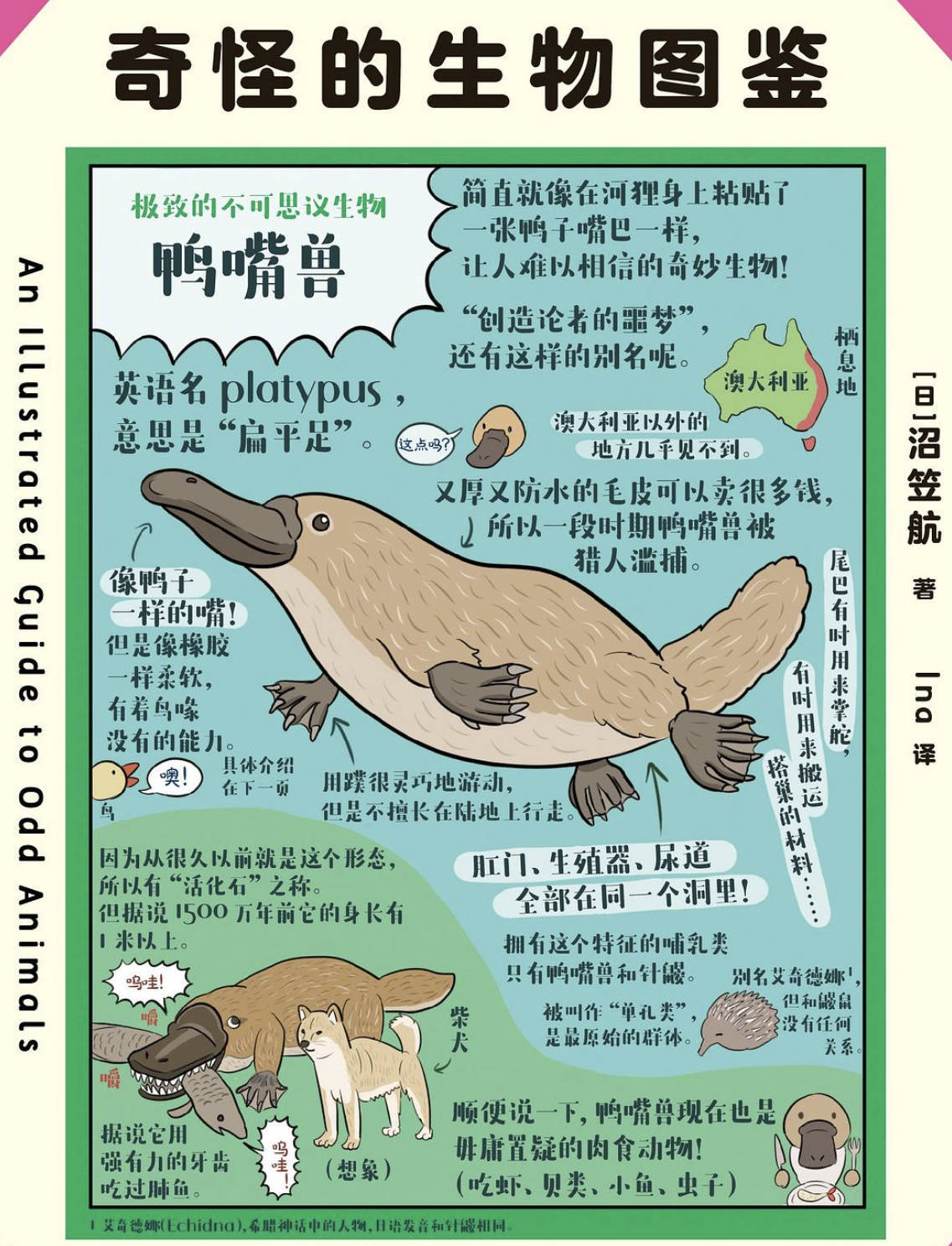 2020科普绘本《奇怪的生物图鉴》by沼笠航 电子书epub/pdf/azw3格式完整版下载 夸克/百度网盘下载