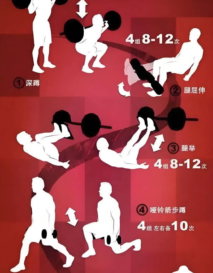 《打造完美身材，健身房增肌减脂全方案》视频全集下载，完美的健身身材塑造之路