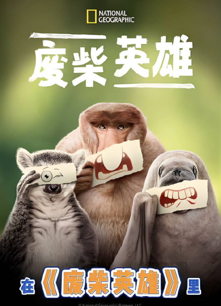 废柴英雄(2025)纪录片 全集高清完整版 赵又廷中文配音普通话 【4K 2160P HDR】夸克网盘下载