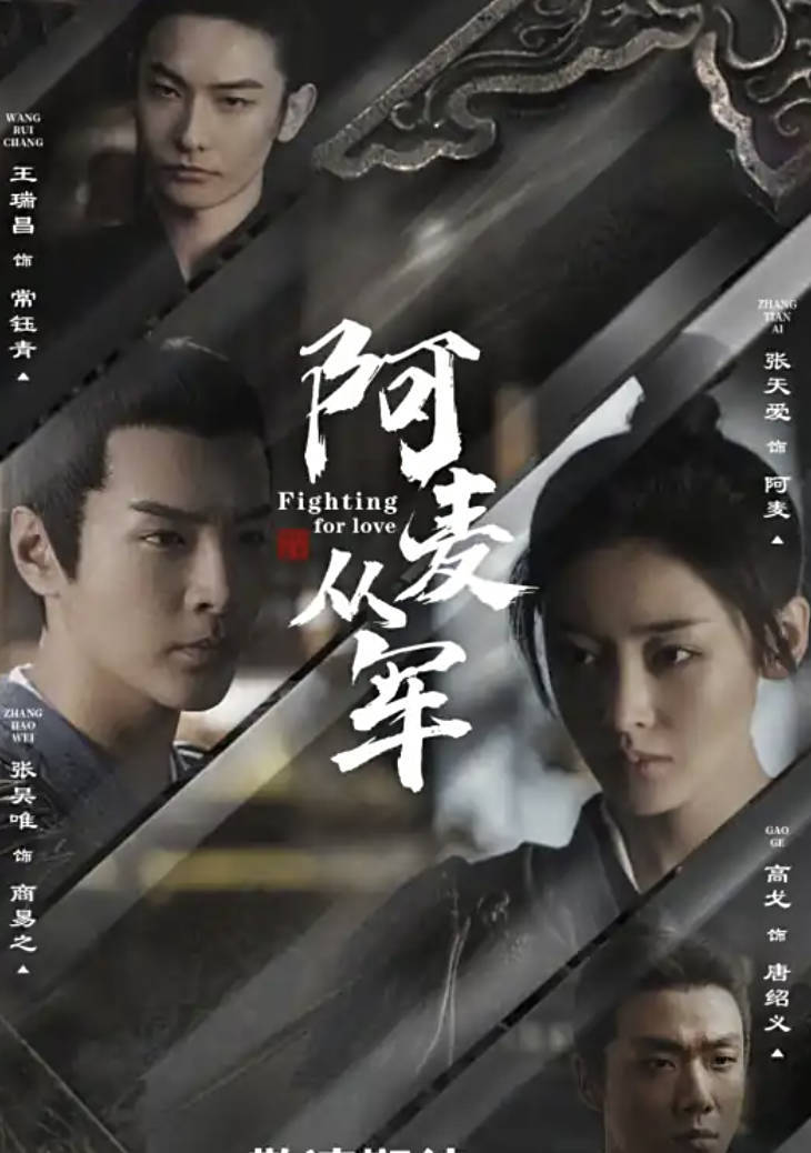 阿麦从军电视剧免费观看，张天爱/张昊唯主演高清完整版全集在线观看夸克百度网盘