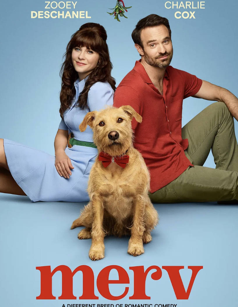 爱犬莫福 Merv（2025）美国电影 高清完整版4K DV&HDR 内封简中 夸克网盘/百度网盘下载