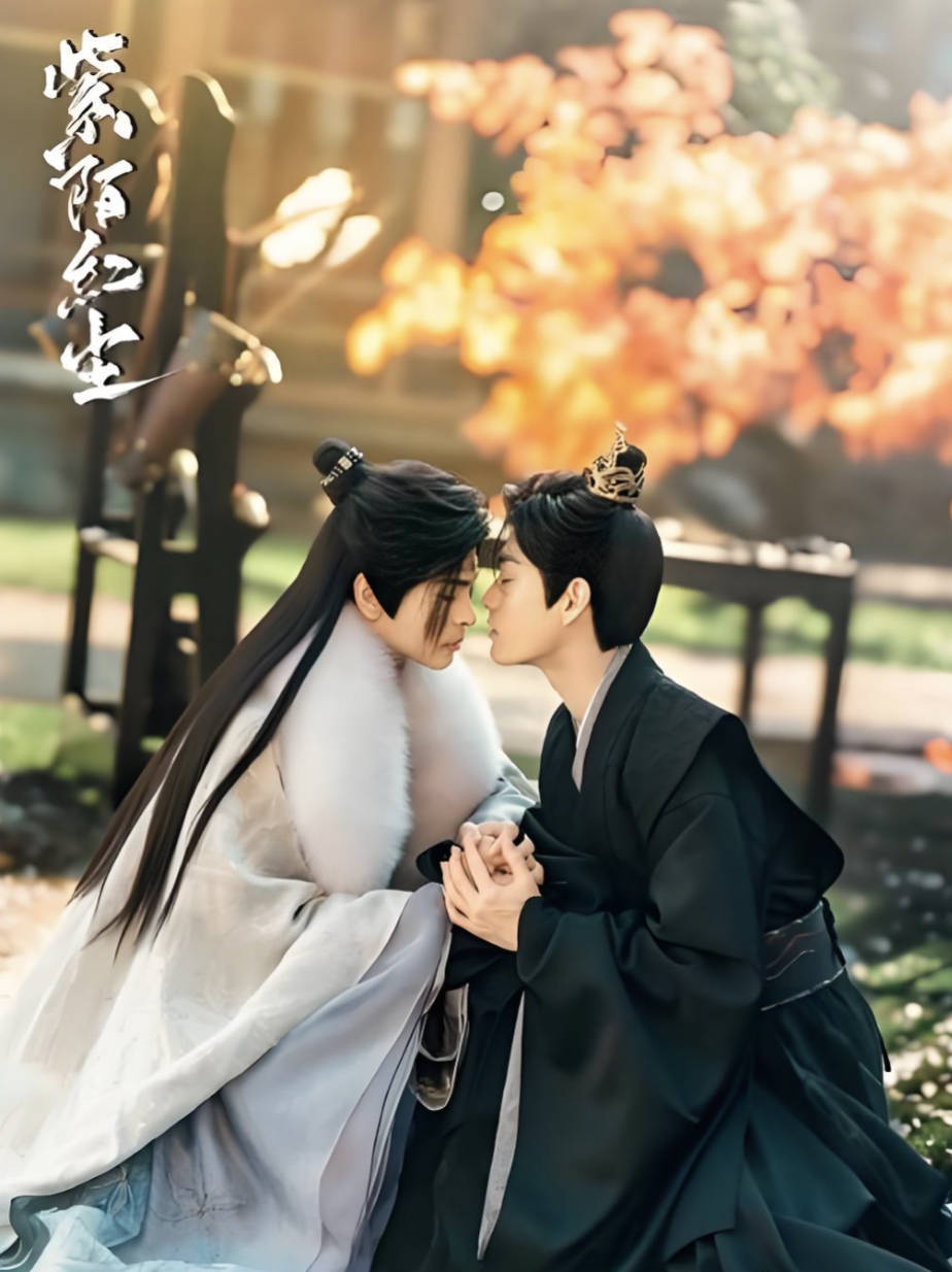 紫陌红尘（2025）电视剧 【弭金 / 张哲旭 / 王鼎】【古装 / 权谋】 全12集完结 高清4K HDR 夸克网盘 / 百度网盘下载观看