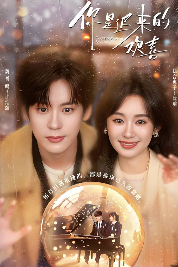 你是迟来的欢喜（2026）电视剧 魏哲鸣 / 郑合惠子 / 李俊贤 都市 / 爱情 全集高清4K 夸克网盘 / 百度网盘下载观看