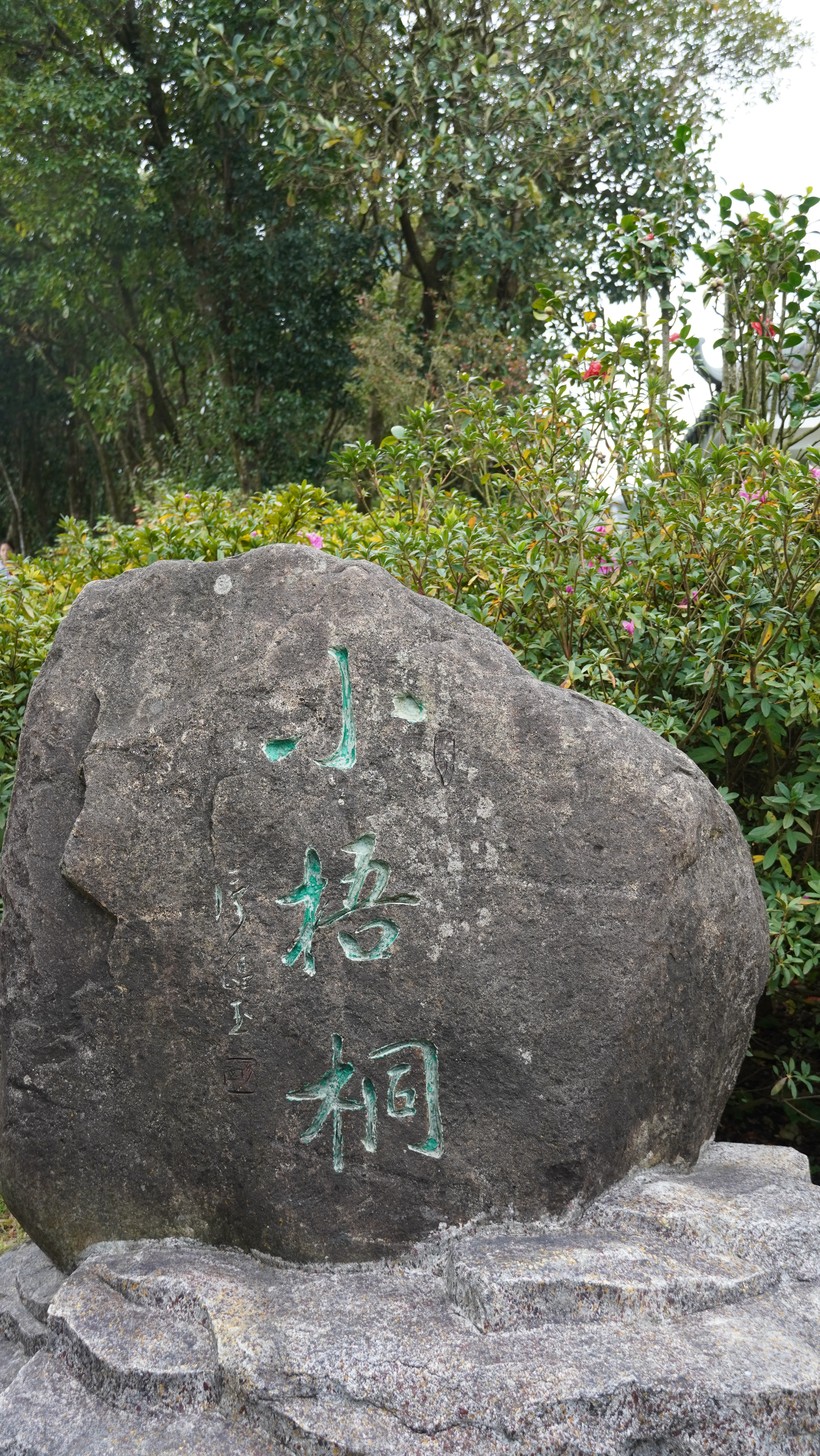 小梧桐碑