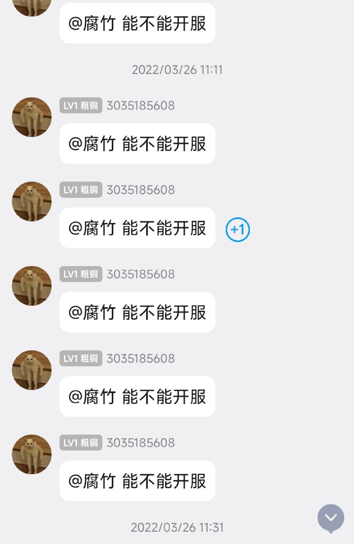 聊天记录