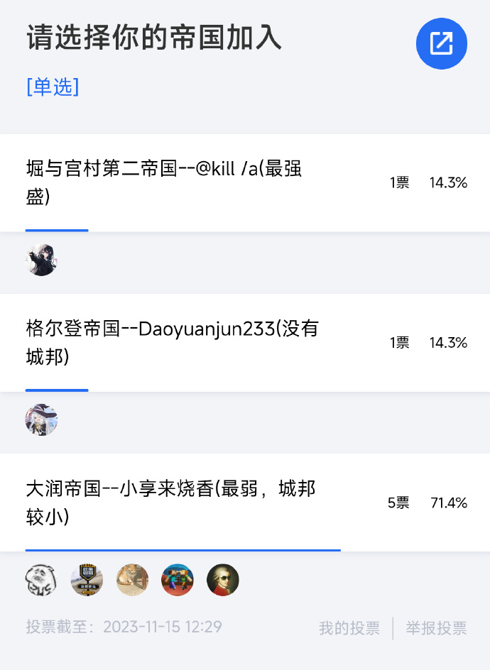 投票